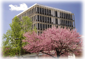 hickmanhall